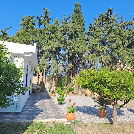 Vila Deja Blue Archangelos  Exteriér fotografie